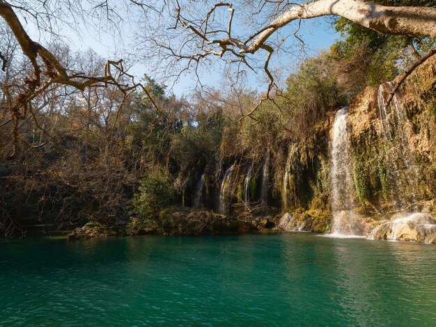 Schöner Wasserfall im Wald