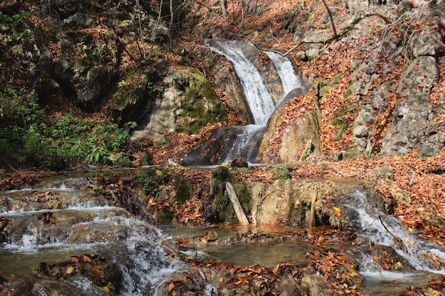 schöner Wasserfall im Wald