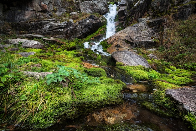 Schöner Wasserfall in den Bergen