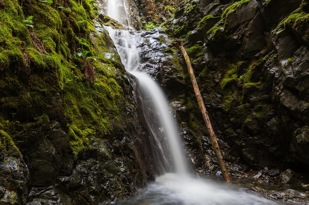 Schöner Wasserfall in Vancouver Island, Kanada