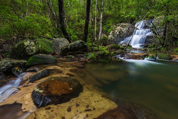 Schöner Wasserfall Nationalparks Phu Rua, Thailand.