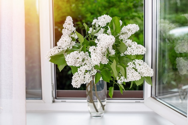 Schöner weißer Blumenstrauß in Vase in der Nähe des geöffneten Fensters bei Sonnenaufgang