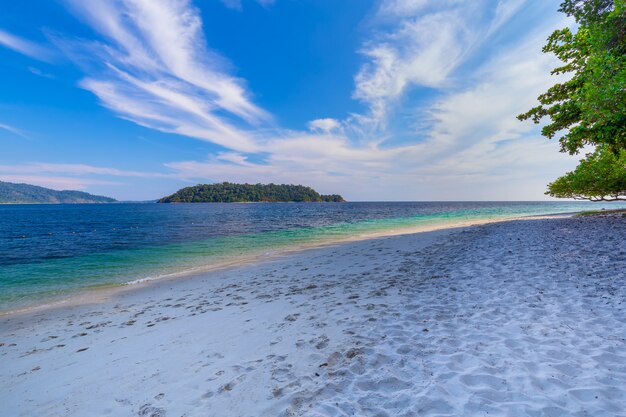 schöner weißer Sandstrand mit Baum in tropischem Meer in Lipe-Insel Thailand