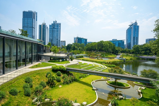 Schöner Wetland Park und urbane Skyline in Chongqing China
