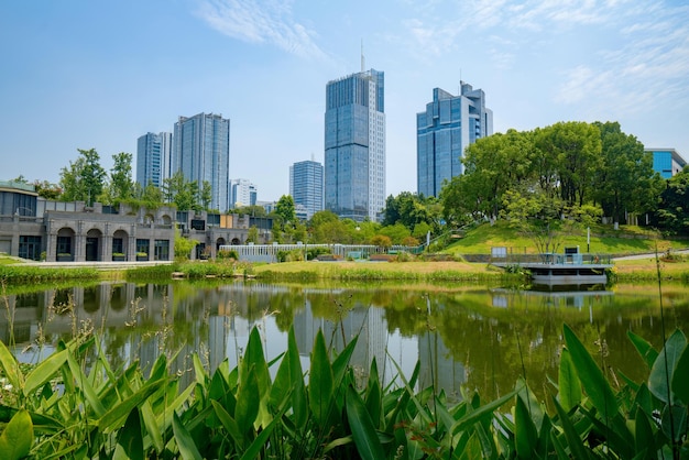 Schöner Wetland Park und urbane Skyline in Chongqing China