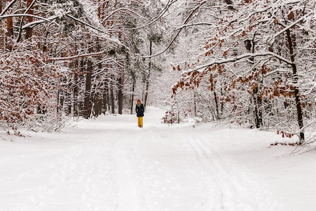 Schöner Winterwald mit Trampelpfad