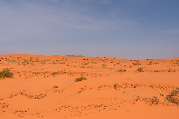 Schöner Wüsten-Hintergrund