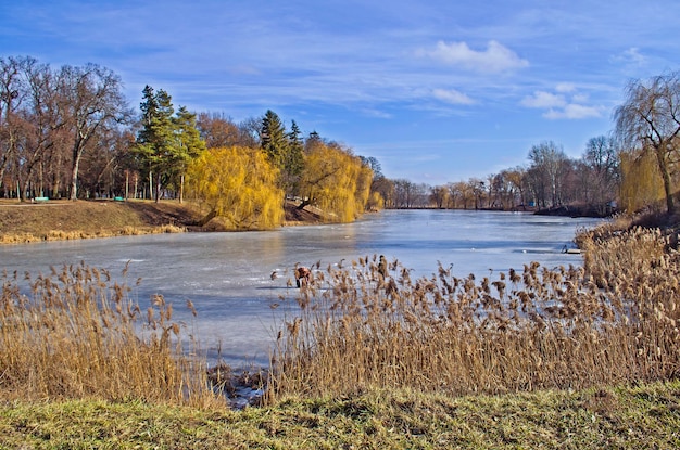 Schöner zugefrorener See