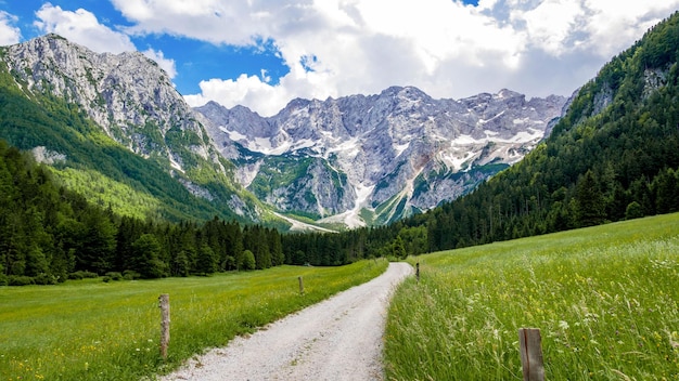 Schönes Alpental, Schotterstraße, grüne Wiesen umgeben von Bergen. Jezersko, Slowenien.