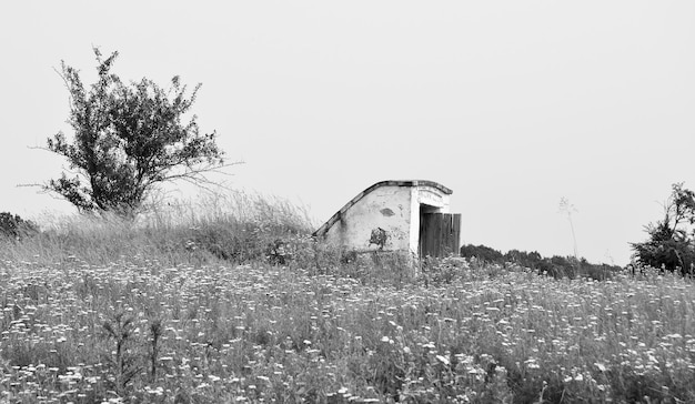 Foto schönes altes verlassenes bauernhaus auf dem land auf natürlichem hintergrund fotografie bestehend aus altem verlassenen bauernhaus auf wildem gras altes verlassenes bauernhaus über dem himmel