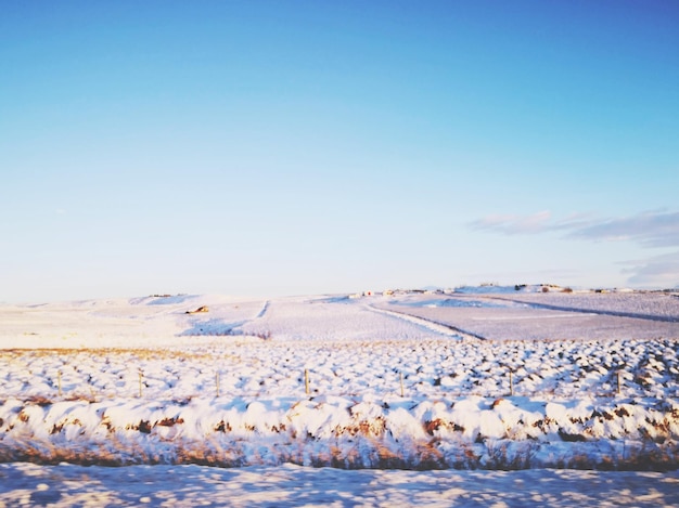 Schönes Aussehen des schneebedeckten Landes vor klarem blauen Himmel