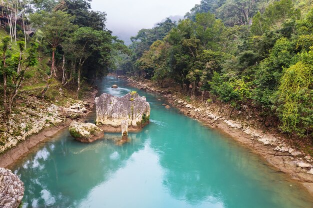 Schönes Bachwasser, das im Regenwald fließt. Costa Rica, Mittelamerika