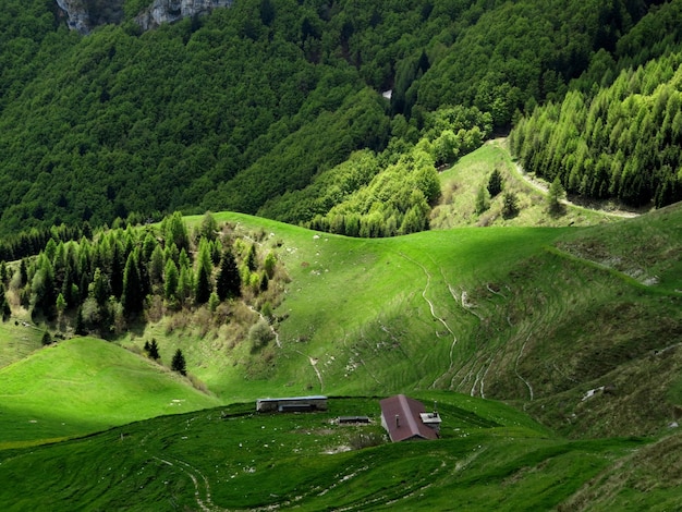 Foto schönes bild der grünen landschaft