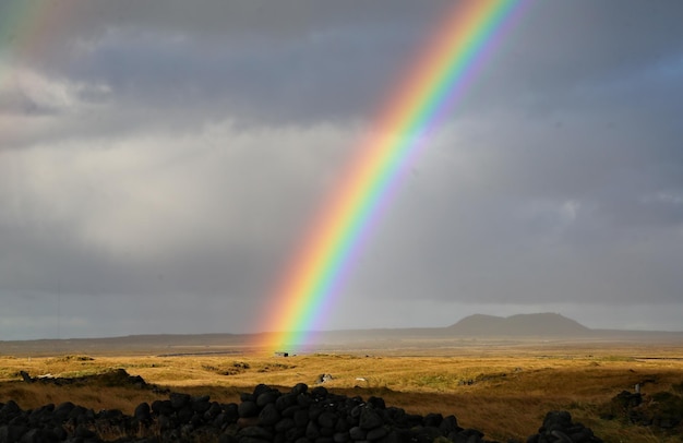 Schönes Bild des Regenbogens über der Landschaft gegen den bewölkten Himmel