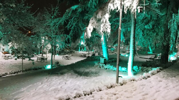 Foto schönes bild des schneebedeckten landes in der nacht