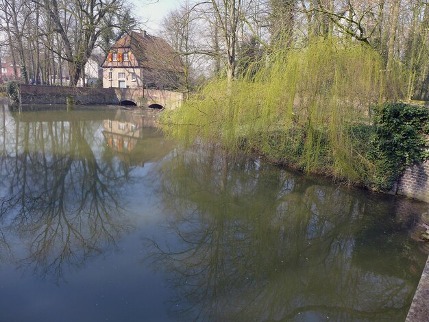 Foto schönes bild des sees mit bäumen im hintergrund