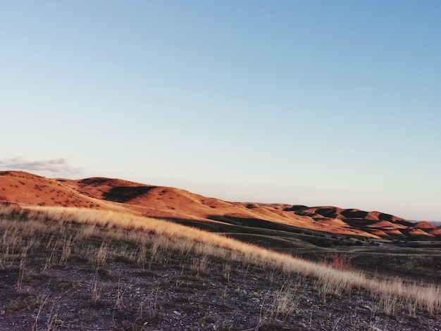 Foto schönes bild einer trockenen landschaft vor klarem himmel