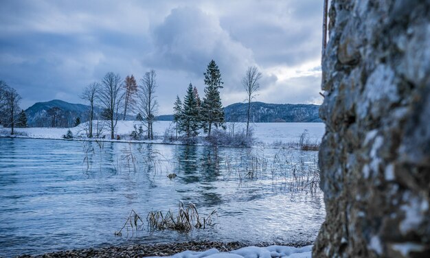 Schönes Bild eines Baumes gegen den Himmel im Winter