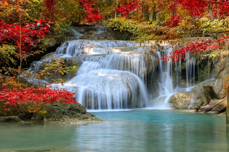 Foto schönes bild eines wasserfalls im wald im herbst