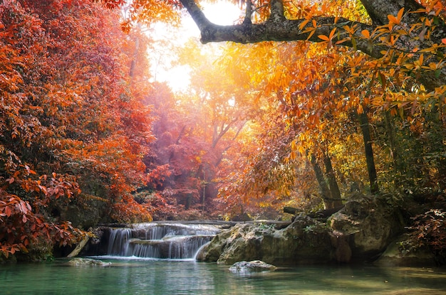 Schönes Bild eines Wasserfalls im Wald im Herbst