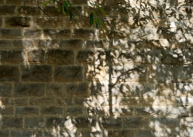 Schönes Bild mit Textur der Natursteinmauer mit Schatten von Baumzweigen