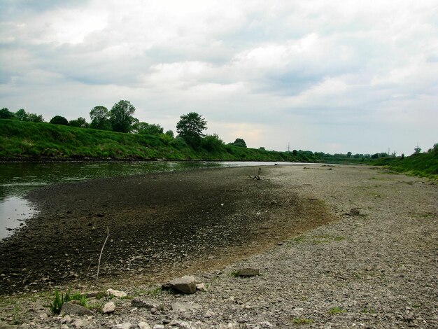 Schönes Bild von Bäumen auf dem Feld gegen den Himmel