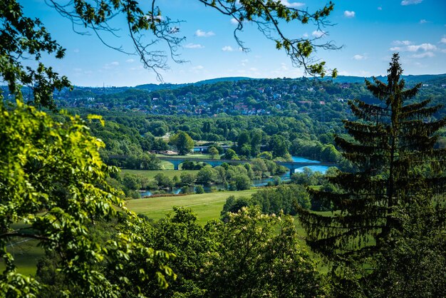 Foto schönes bild von bäumen auf dem feld gegen den himmel