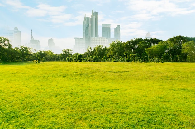 Schönes Bild von Bäumen, die auf dem Feld gegen den Himmel wachsen