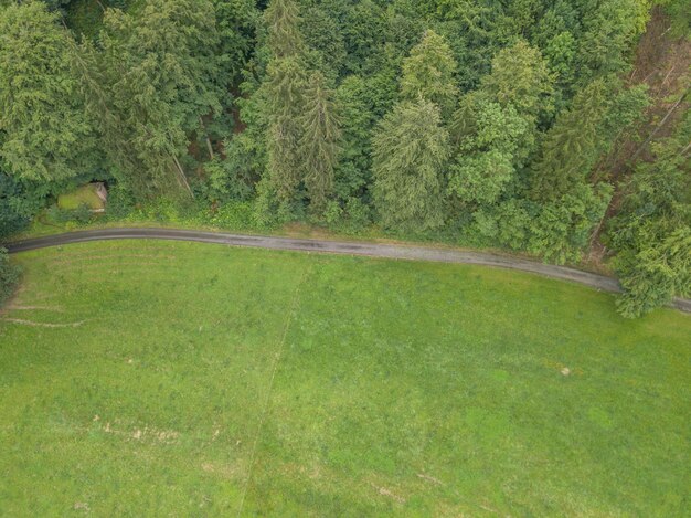 Foto schönes bild von bäumen, die auf dem feld wachsen