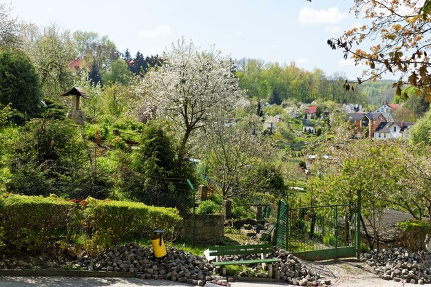 Foto schönes bild von bäumen und pflanzen gegen den himmel