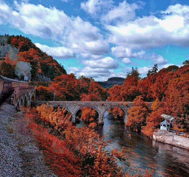 Foto schönes bild von bäumen vor einem bewölkten himmel