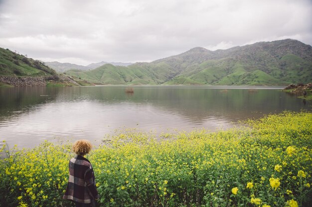 Foto schönes bild von gelben blumen am see gegen den himmel