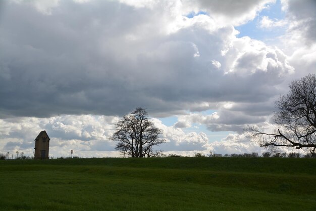 Foto schönes bild von grasbewachsenem feld vor bewölktem himmel