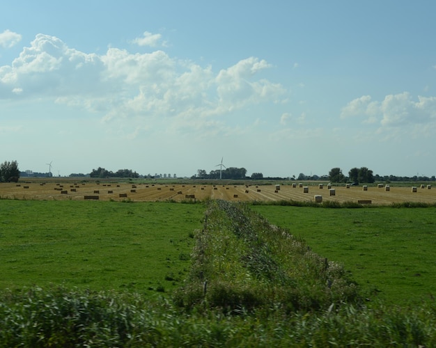 Schönes Bild von grasbewachsenem Feld vor bewölktem Himmel