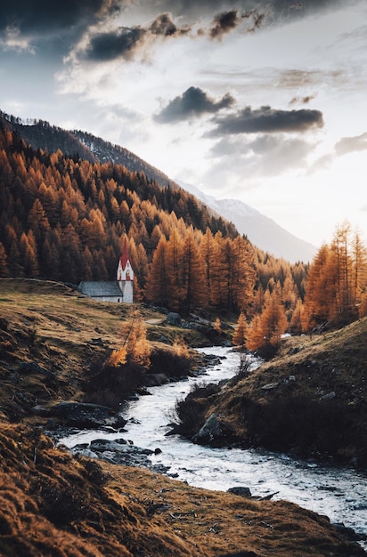 Schönes Bild von Kiefern auf den Bergen gegen den Himmel im Herbst