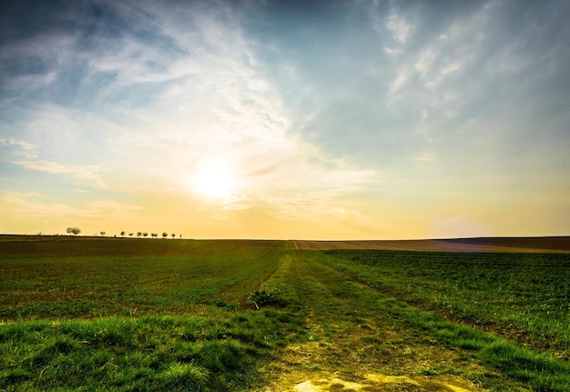 Schönes Bild von landwirtschaftlicher Landschaft gegen den Himmel bei Sonnenuntergang