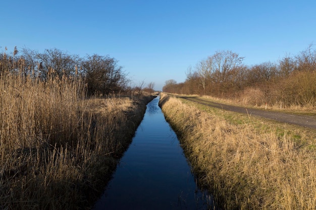 Foto schönes bild von landwirtschaftlicher landschaft vor klarem himmel