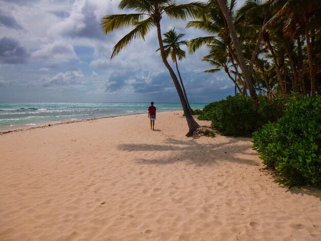 Foto schönes bild von menschen am strand gegen den himmel