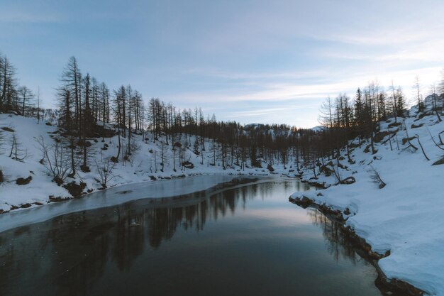 Schönes Bild von schneebedeckten Bäumen vor dem Himmel