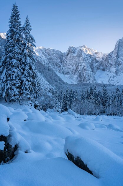 Foto schönes bild von schneebedeckten bergen vor klarem himmel