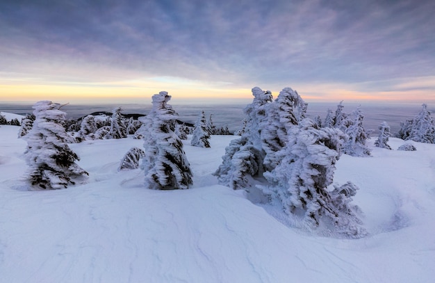 Schönes Bild von schneebedeckten Feldern vor dem Himmel bei Sonnenuntergang