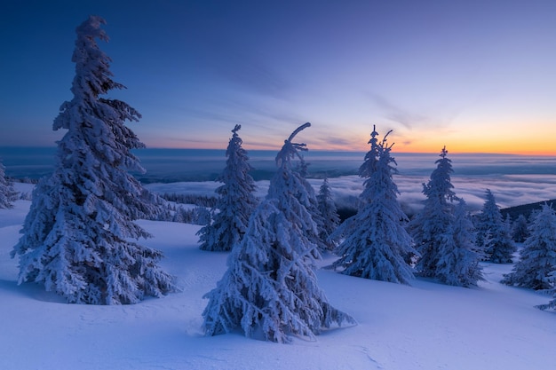 Schönes Bild von schneebedeckter Landschaft gegen den Himmel bei Sonnenuntergang