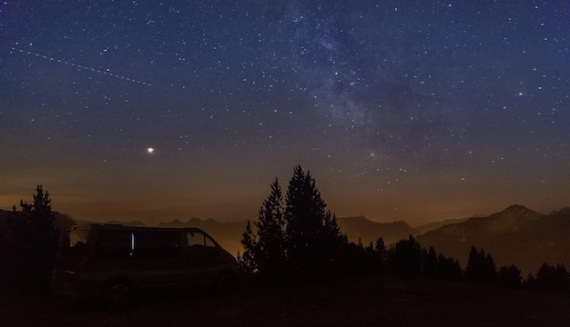 Schönes Bild von Silhouetten von Bäumen gegen das Sternenfeld in der Nacht