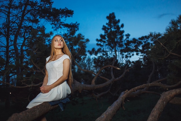 Schönes blondes Mädchen, das auf altem Ast im mystischen Feen-Nacht-Wald sitzt.