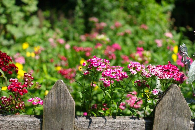 Foto schönes blumenbeet hinter ländlichen retro-zäunen
