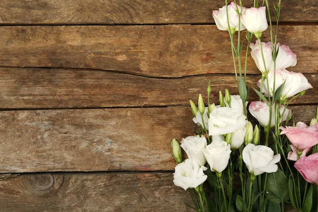 Schönes Eustoma auf Holzuntergrund