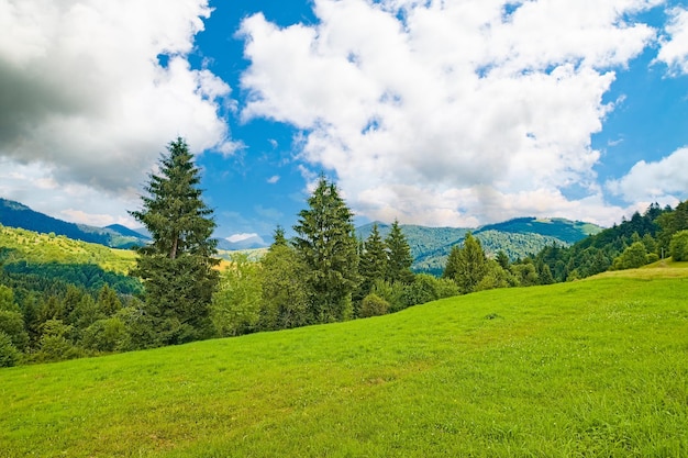 Schönes Feld mit Gras und Wald bedeckt mit Hügeln hinter dem Berg und dem Himmel mit Scheunenlandschaftshintergrund