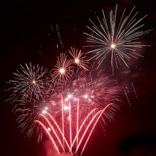 Schönes Feuerwerk am schwarzen Himmel