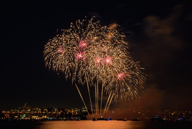 Schönes Feuerwerk. buntes Feuerwerk.