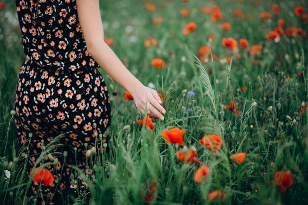 Schönes freies Mädchen in einem Hut in einem Sommerfeld der roten Mohnblumen